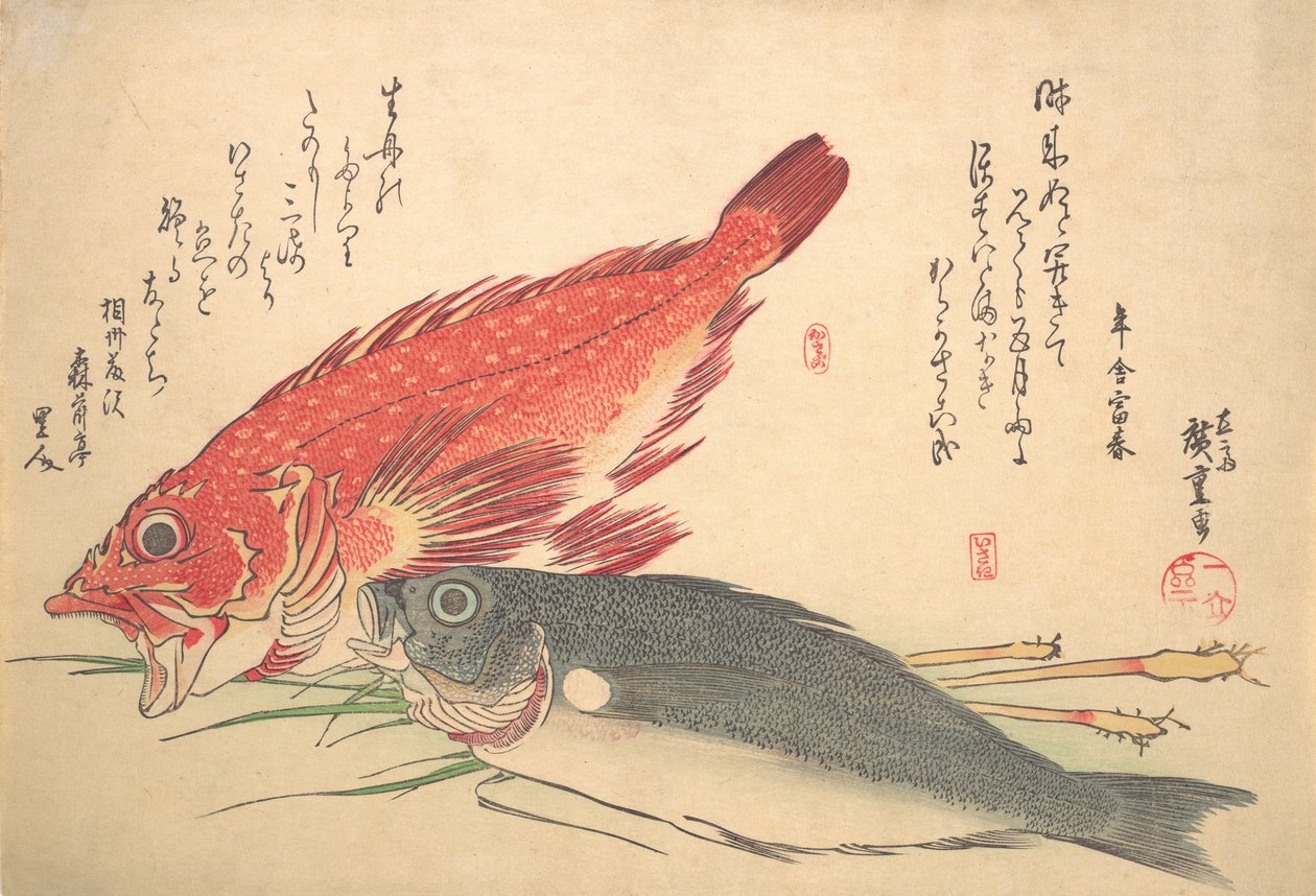 Isaki és Kasago Fish, az Uozukushi Every Variety of Fish sorozatból, 1830-as, 1830-as évek. alkotó: Ando Hiroshige