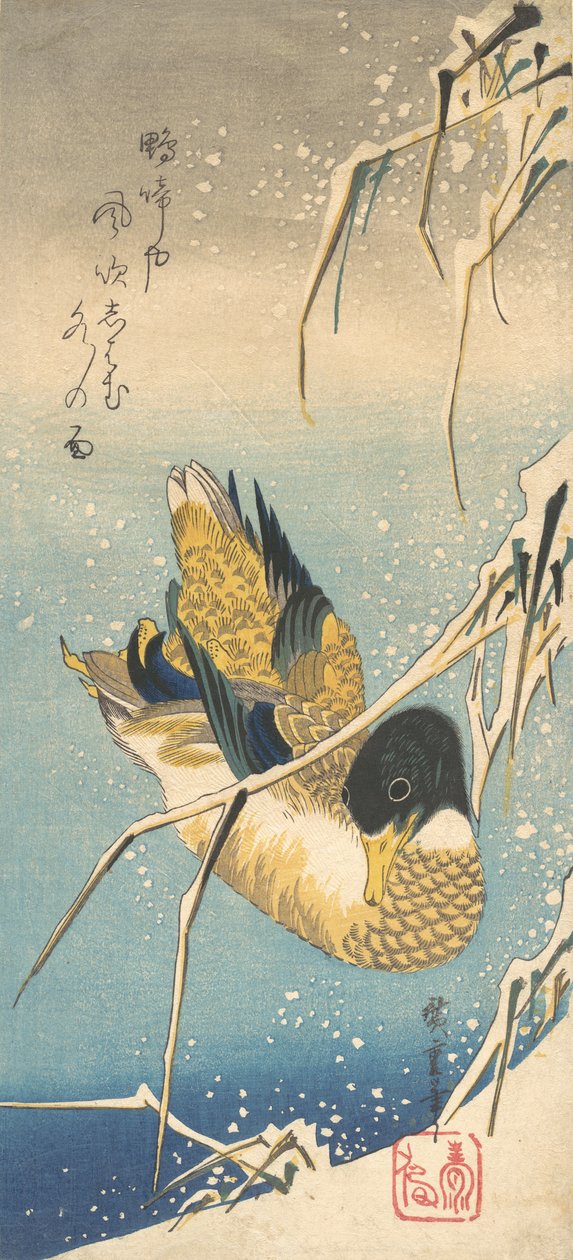 Tőkés réce és hóval borított nád, kb. 1832., kb. 1832. alkotó: Ando Hiroshige