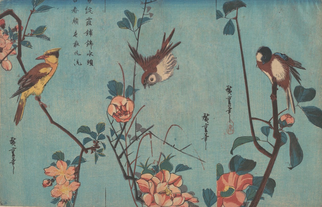 Cirmos és kaméliák jobbra, veréb és vadrózsa középen, valamint fekete oriol..., 1833 körül. alkotó: Ando Hiroshige