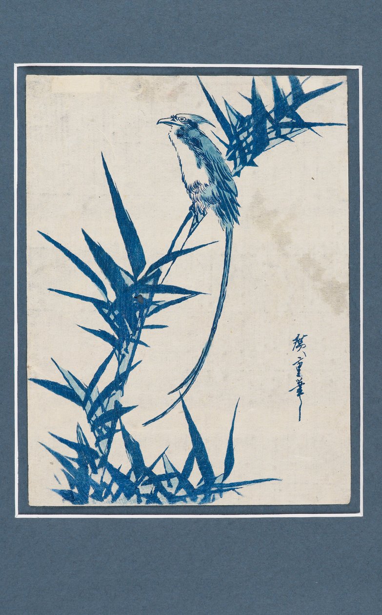 Ukiyo-e print - Madár egy ágon kék színben, 1820-1858 alkotó: Ando Hiroshige