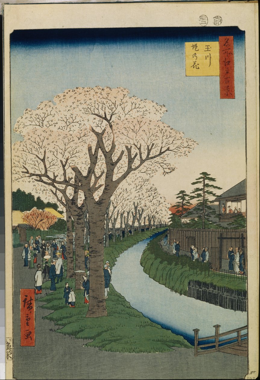 Cent vues celebes d"Edo: Cseresznyevirágok a Tama folyó partján alkotó: Ando or Utagawa Hiroshige