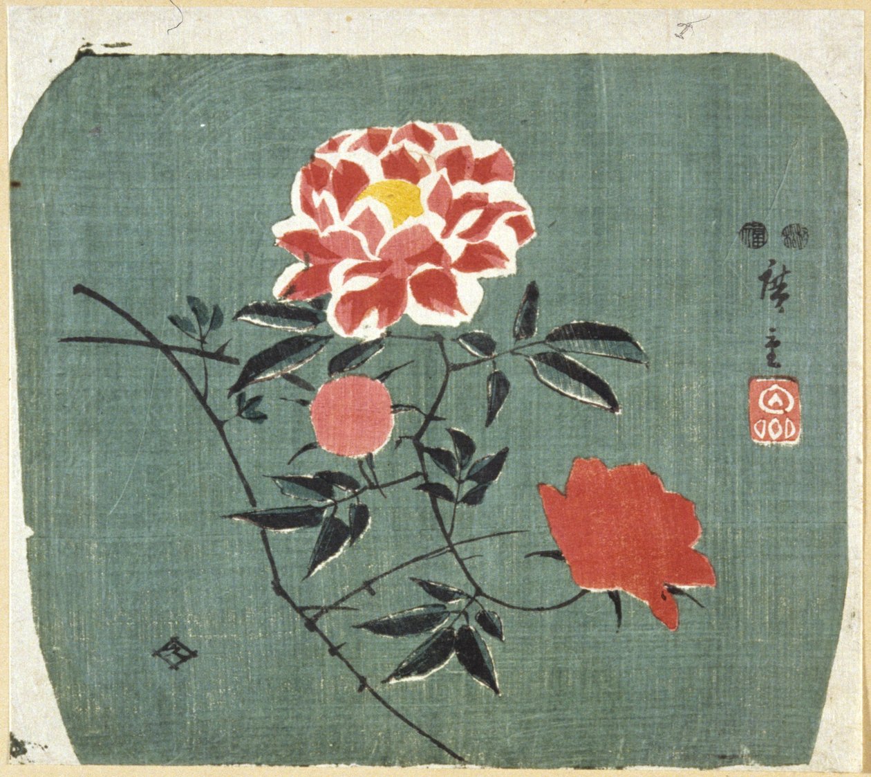 Legyezőnyomat: Rose alkotó: Ando or Utagawa Hiroshige