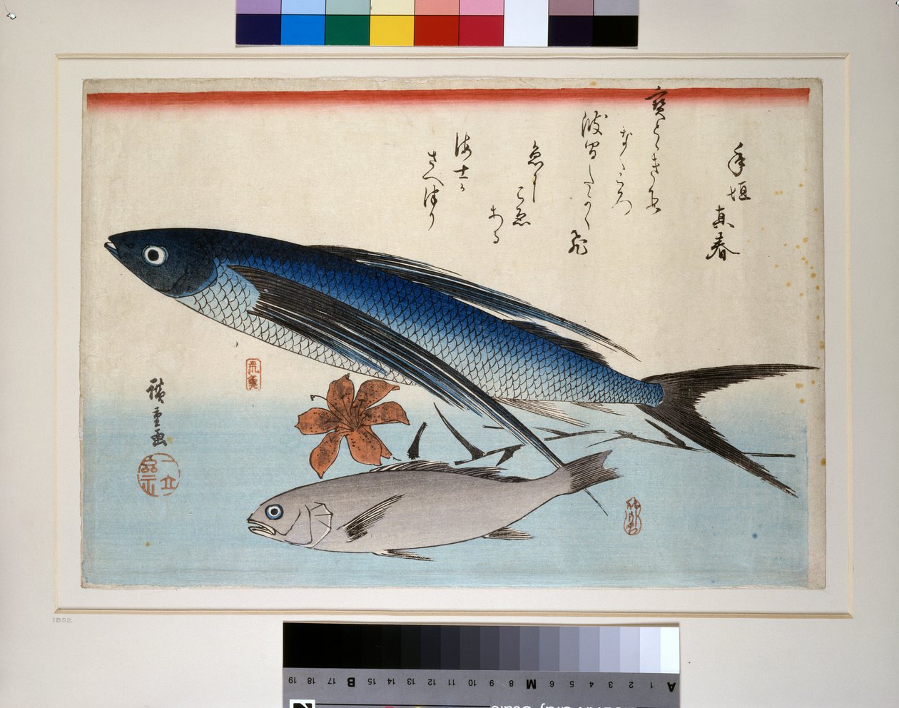 Repülő hal, ishimochi hal és liliom alkotó: Ando or Utagawa Hiroshige