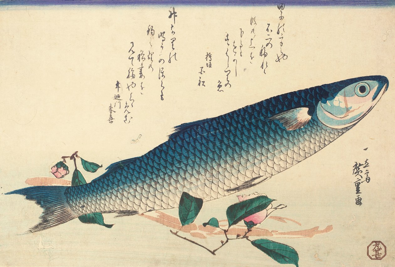 Szürke márna, Camellia és Udo alkotó: Ando or Utagawa Hiroshige