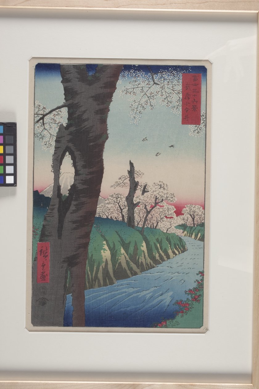Koganei Musashi tartományban (Musashi Koganei) (színes fatömbnyomat) alkotó: Ando or Utagawa Hiroshige