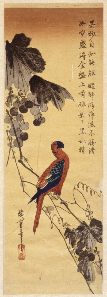 Papagáj és szőlő szőlő (színes fatömb nyomat) alkotó: Ando or Utagawa Hiroshige