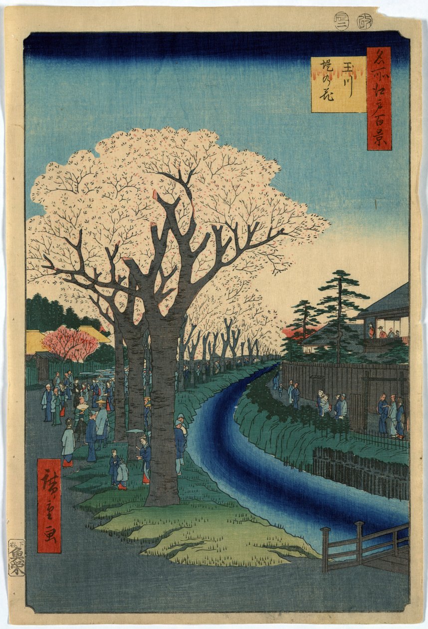 A nyomtatványon a városnézők cseresznyevirágokat nézegetnek a Tama folyó partján Edóban, Ando Hiroshige fametszetében alkotó: Ando or Utagawa Hiroshige