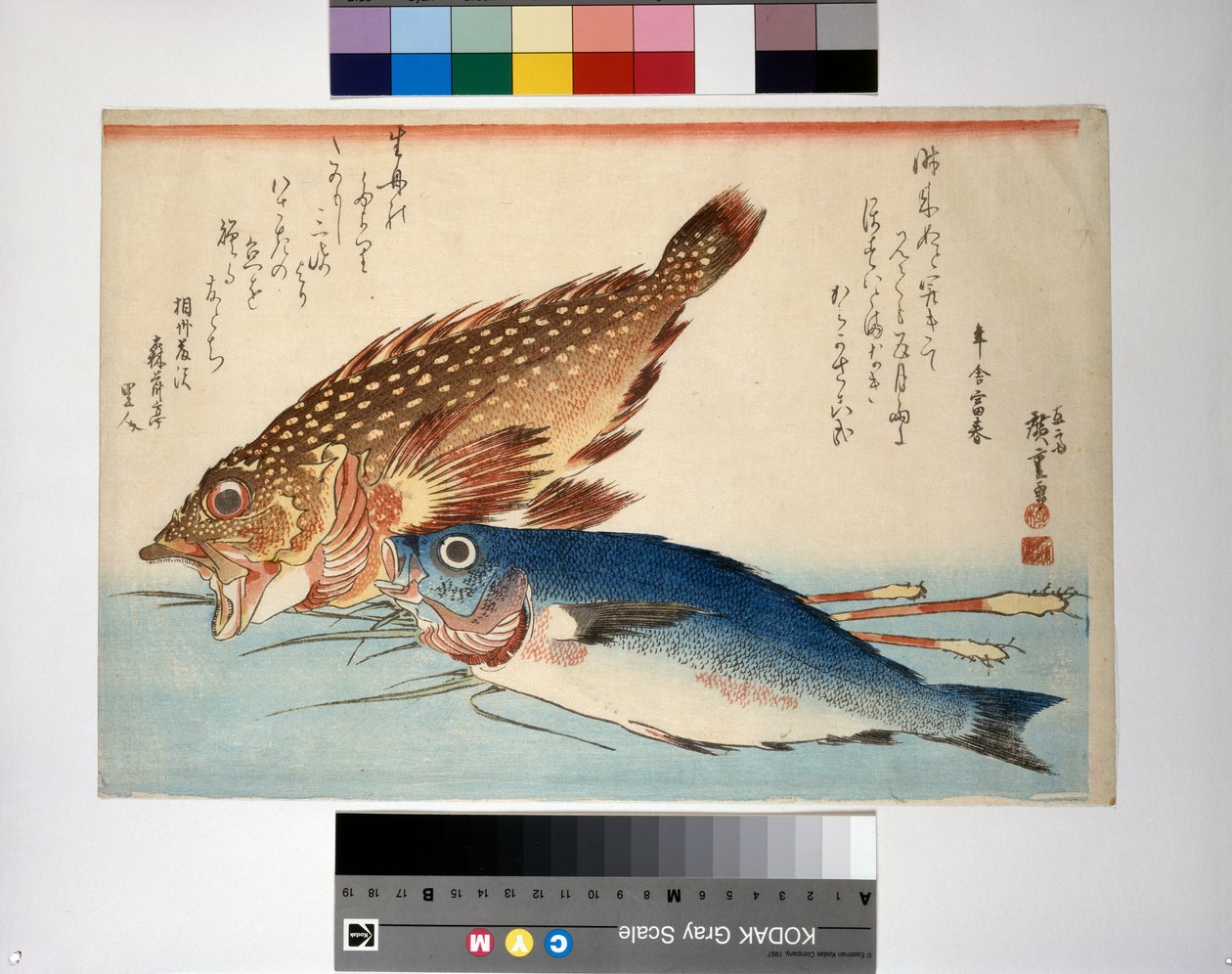 Skorpióhal és isaki hal gyömbérrel alkotó: Ando or Utagawa Hiroshige
