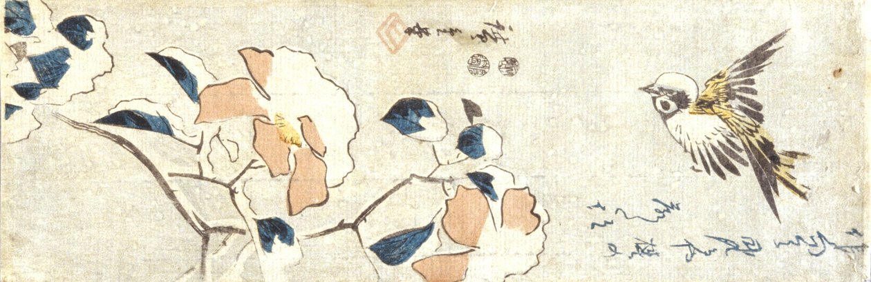Veréb és hóterhelt kamélia (színes fanyomat) alkotó: Ando or Utagawa Hiroshige