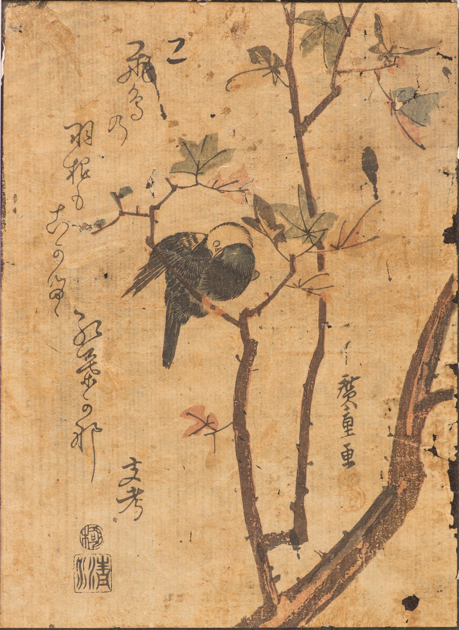 Az ágon alvó madár tanulmányozása alkotó: Ando or Utagawa Hiroshige