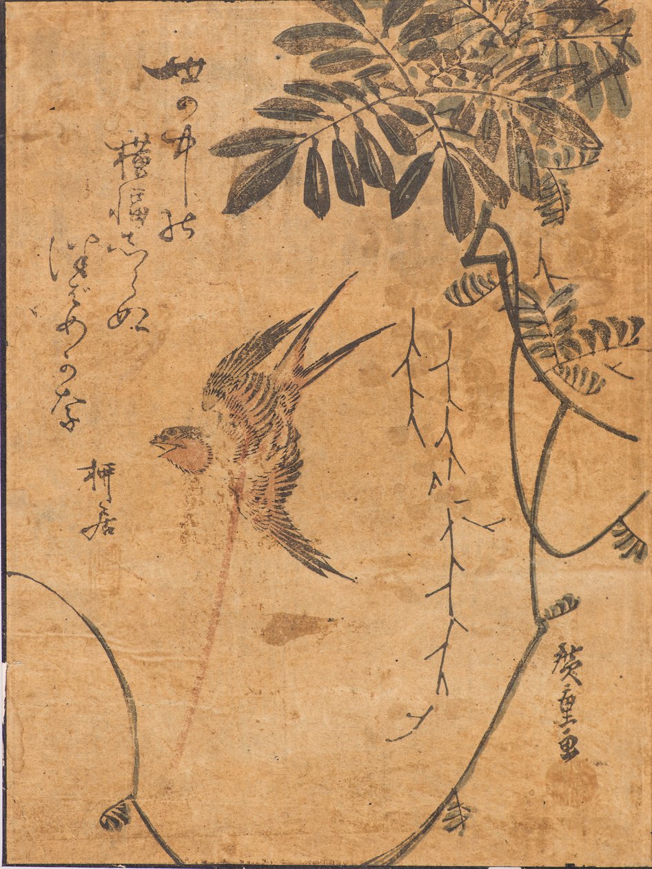 Repülő madár és növény tanulmányozása alkotó: Ando or Utagawa Hiroshige