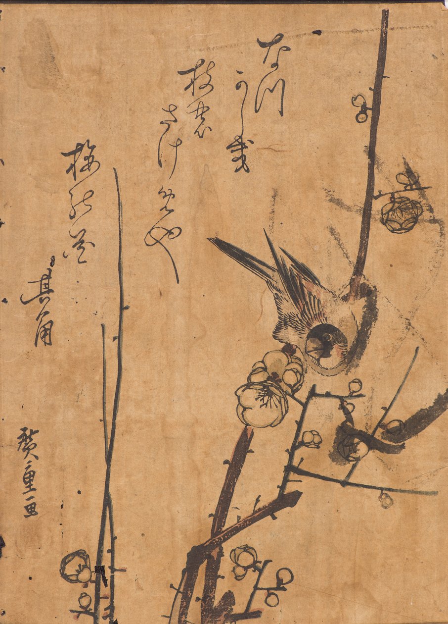 Az ágon ülő madár tanulmányozása alkotó: Ando or Utagawa Hiroshige