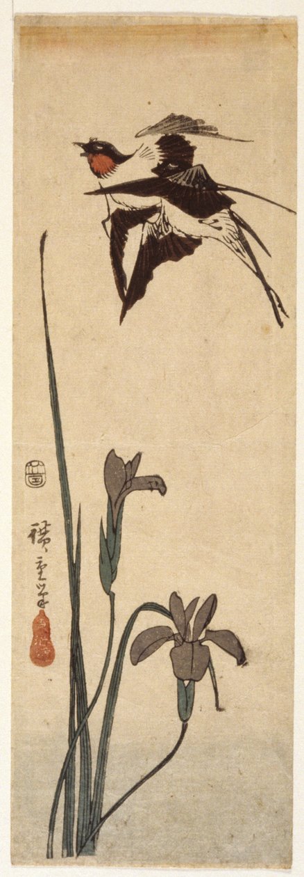 Fecskék és írisz (színes fatömbnyomat) alkotó: Ando or Utagawa Hiroshige