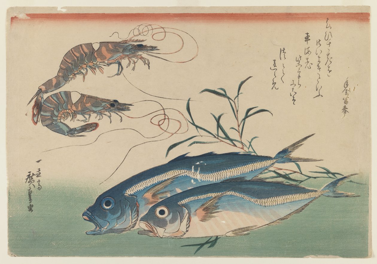 Két garnélarák két makrélával, 1832-33 körül (színes fametszet, papír) alkotó: Ando or Utagawa Hiroshige