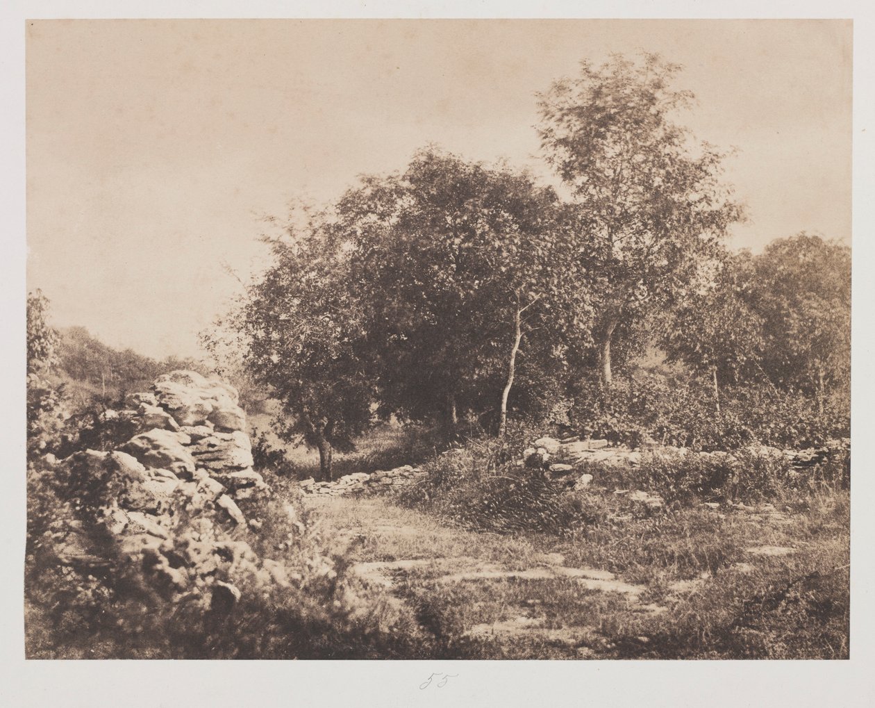 Cím nélküli Fontainbleau jelenete, c. 1853. alkotó: André Giroux