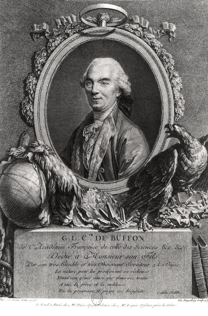 Georges-Louis Leclerc (1707-88) Buffon grófja, metszett Vincenzo Vangelisti (1738-98) 1777 alkotó: Andre Pujos