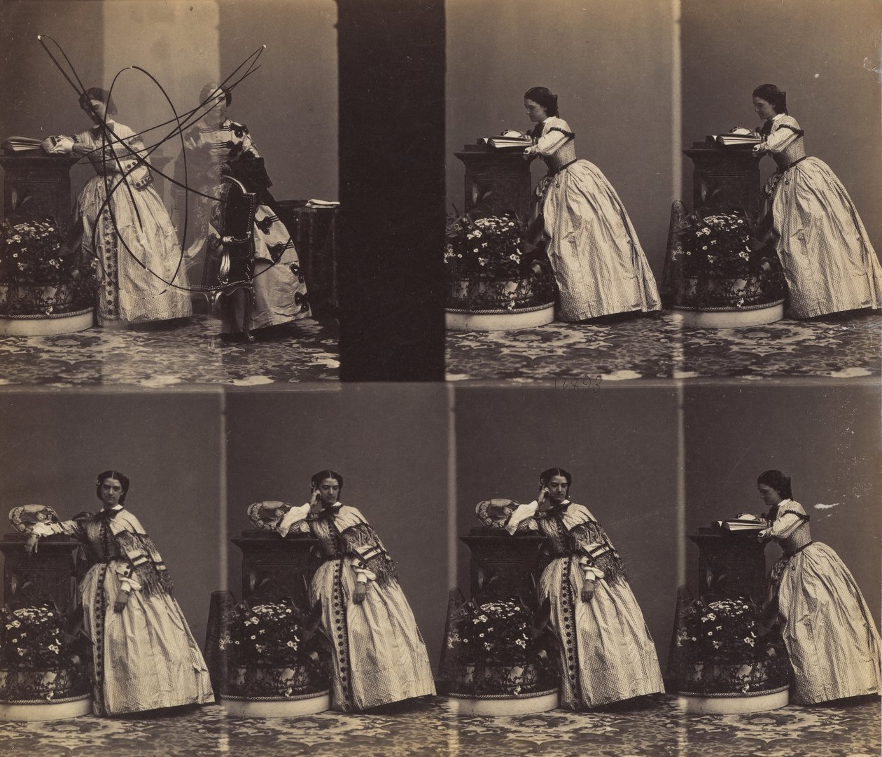 V Queniaus, 1860. május-június. alkotó: Andre Adolphe Eugene Disderi