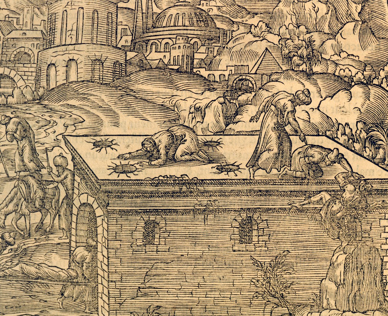 Acheldemach keresztény temetője, metszet a Cosmographie universelle-ből, Andre Thevet (1504-1592), Párizs alkotó: Andre Thevet