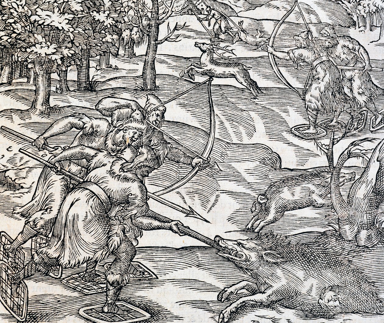 Az indiánok vaddisznóvadászata, metszet az Univerzális Kozmológiából, Andre Thevet (1504-1592), Párizs alkotó: Andre Thevet
