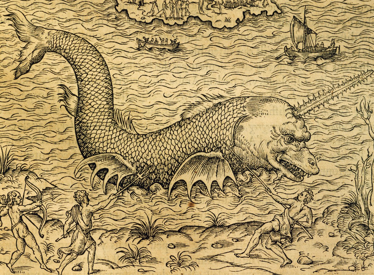 Tengeri szörny, metszet az Univerzális Kozmológiából, Andre Thevet (1504-1592), Párizs alkotó: Andre Thevet