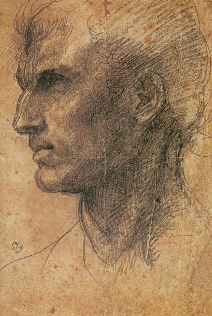 Egy balra néző profilú ember feje alkotó: Andrea del Sarto