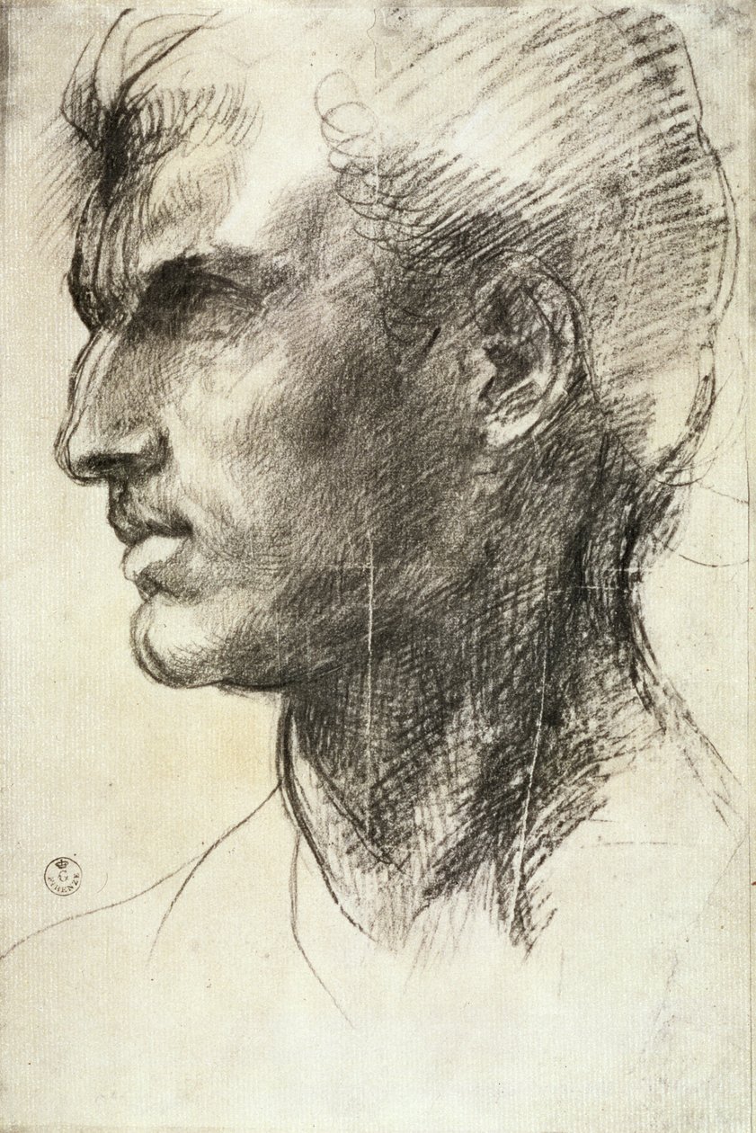 Férfi fej tanulmánya (szén, papír) alkotó: Andrea del Sarto