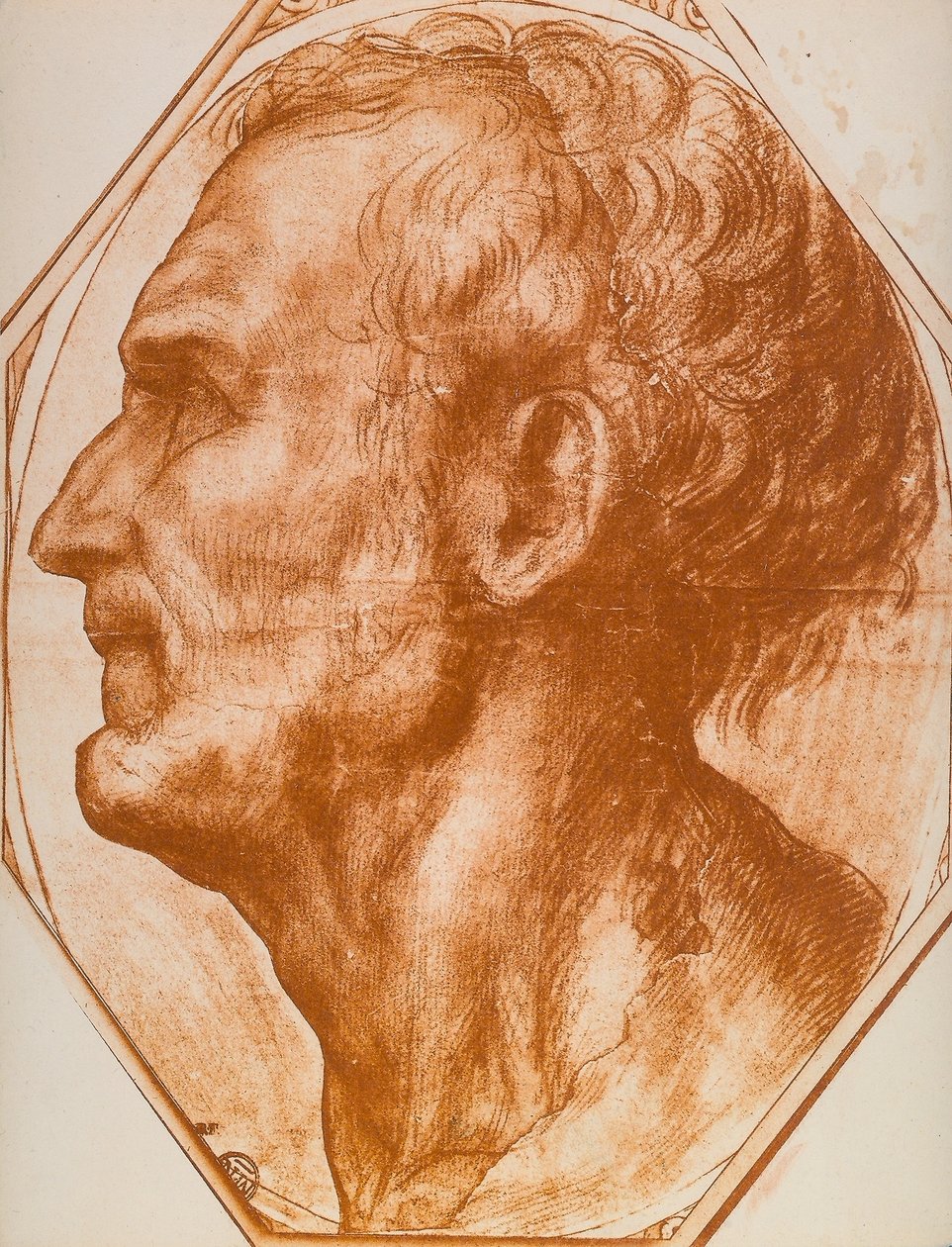 Az ember fejének tanulmányozása; rajz alkotó: Andrea del Sarto