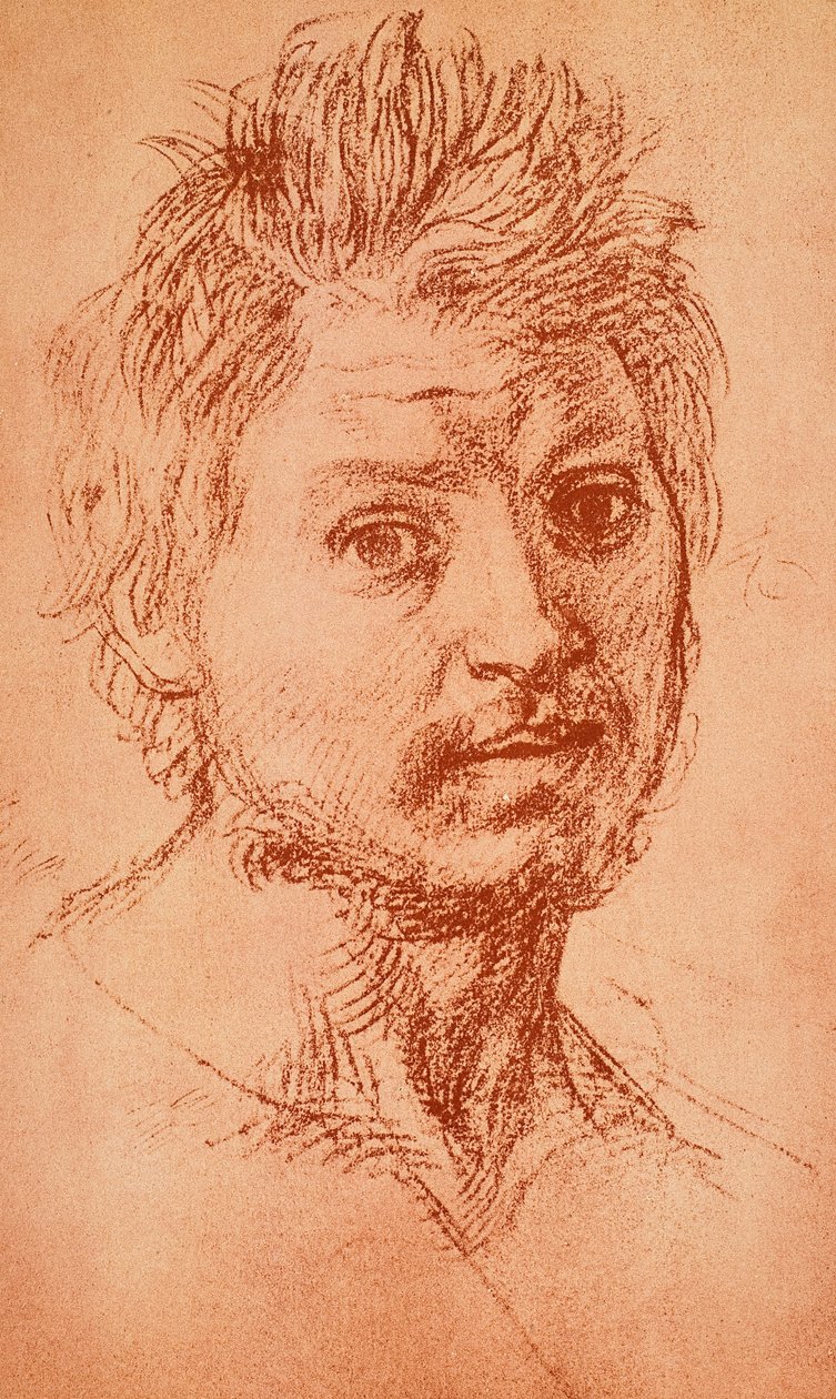 Férfi fej alkotó: Andrea del Sarto