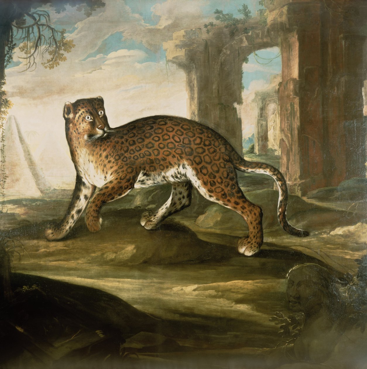 A Jaguárhoz alkotó: Andrea the Elder Scacciati