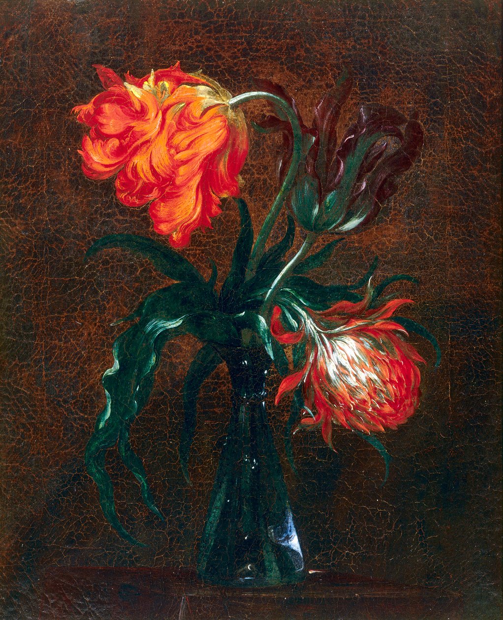 Üvegváza két tulipánnal alkotó: Andrea the Elder Scacciati