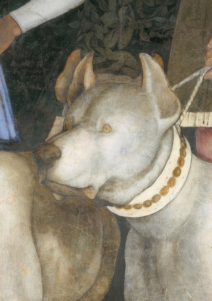 Találkozó Lodovico őrgróf III. Gonzaga az övével alkotó: Andrea Mantegna