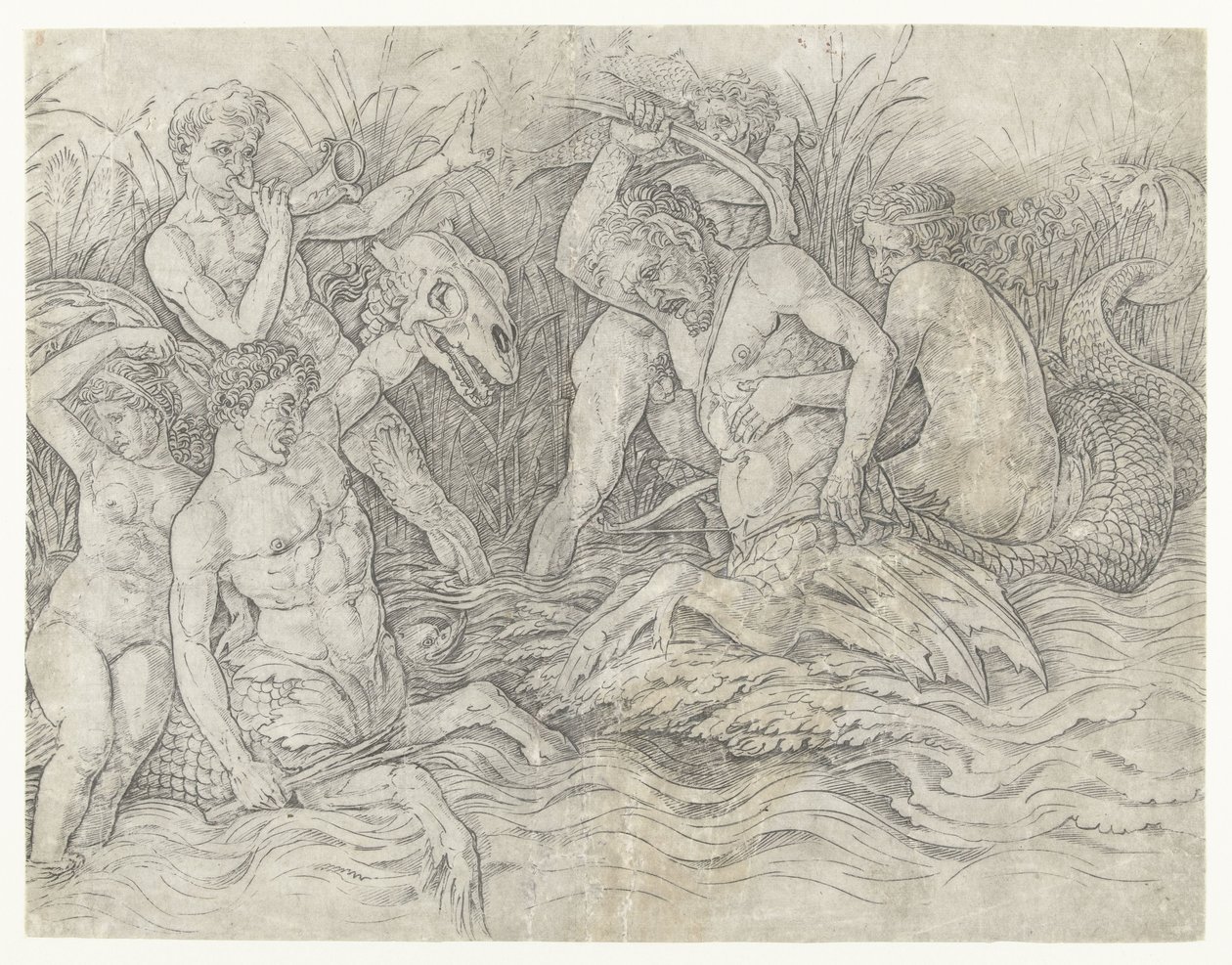 Harc a tritonok között nereidákkal a hátukon Tengeri istenek csatája alkotó: Andrea Mantegna