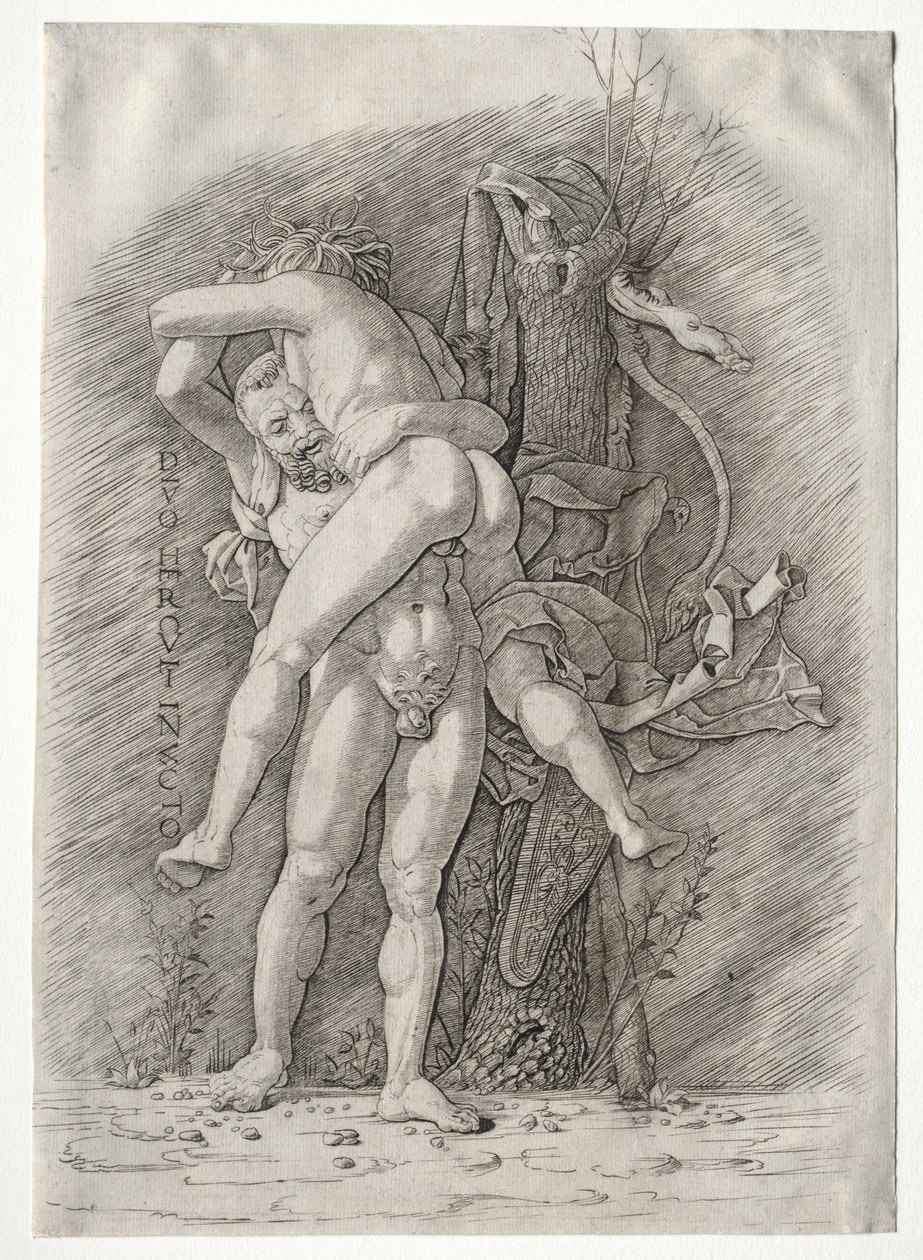Herkules és Antaeus, 1400-as évek. alkotó: Andrea Mantegna