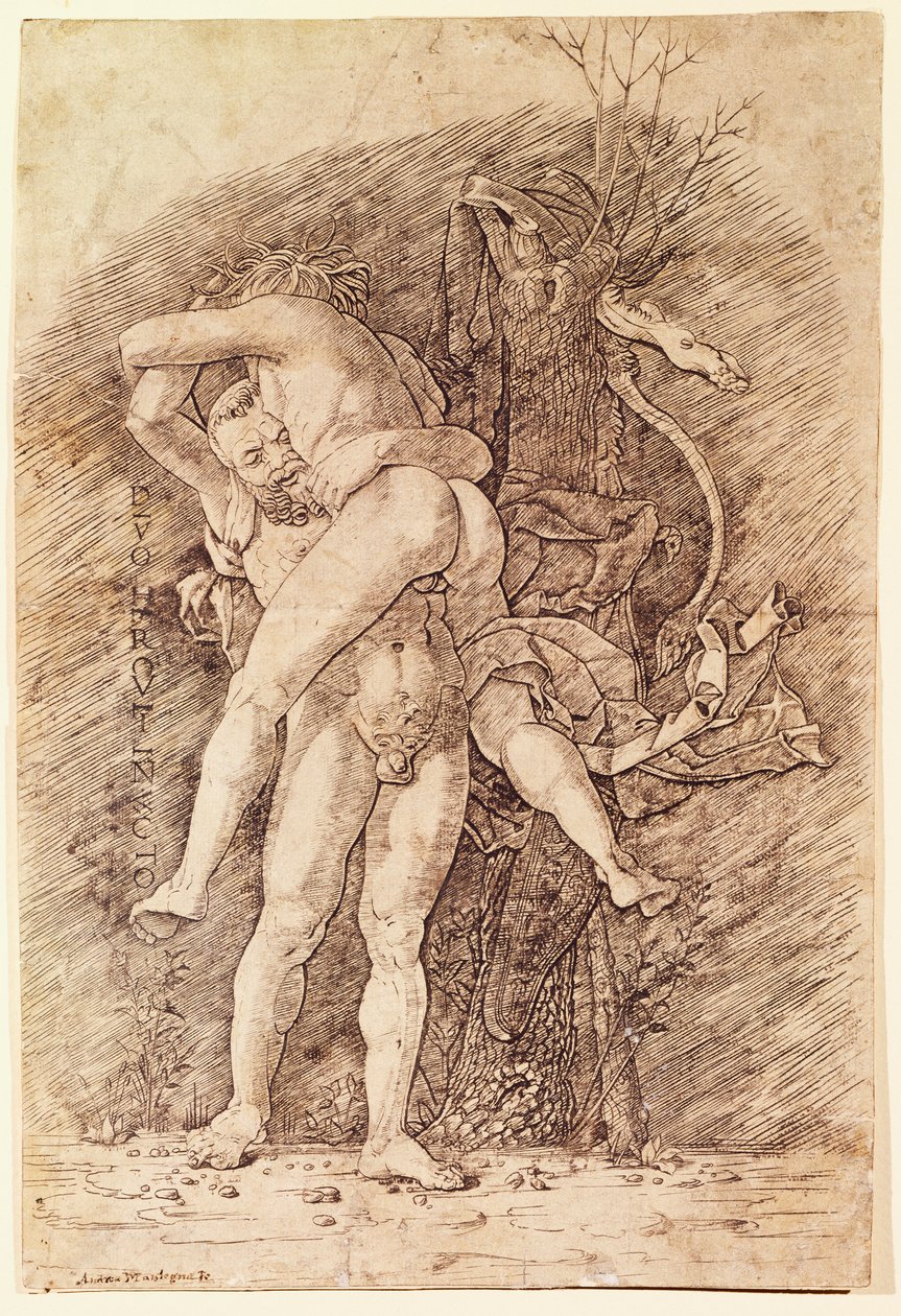 Herkules és Antaeus, Andrea Mantegna (1431-1506), rajz. alkotó: Andrea Mantegna