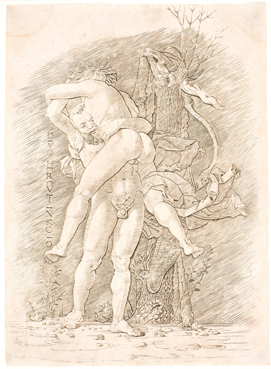 Herkules és Antaeus alkotó: Andrea Mantegna