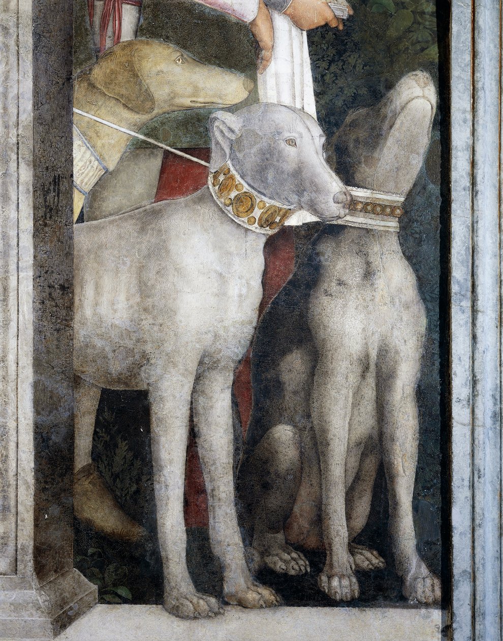 Molossian kutyák, részlet a Találkozó falról alkotó: Andrea Mantegna