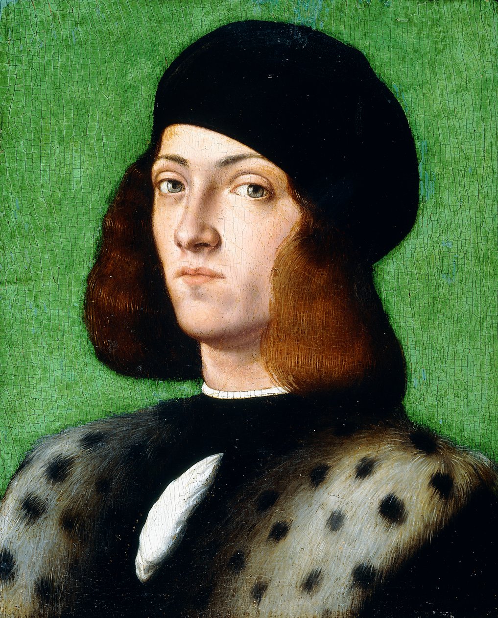 Egy fiatal úriember portréja, mellig érő, fekete sapkát és fekete kabátot visel, 1506 alkotó: Andrea Previtali