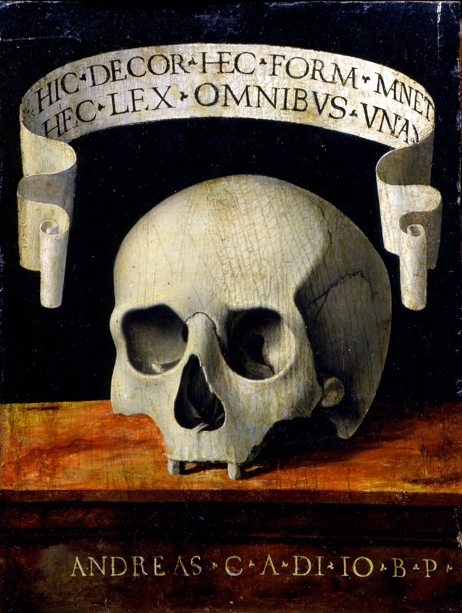 Egy férfi portréja - Memento Mori alkotó: Andrea Previtali called Cordeliaghi