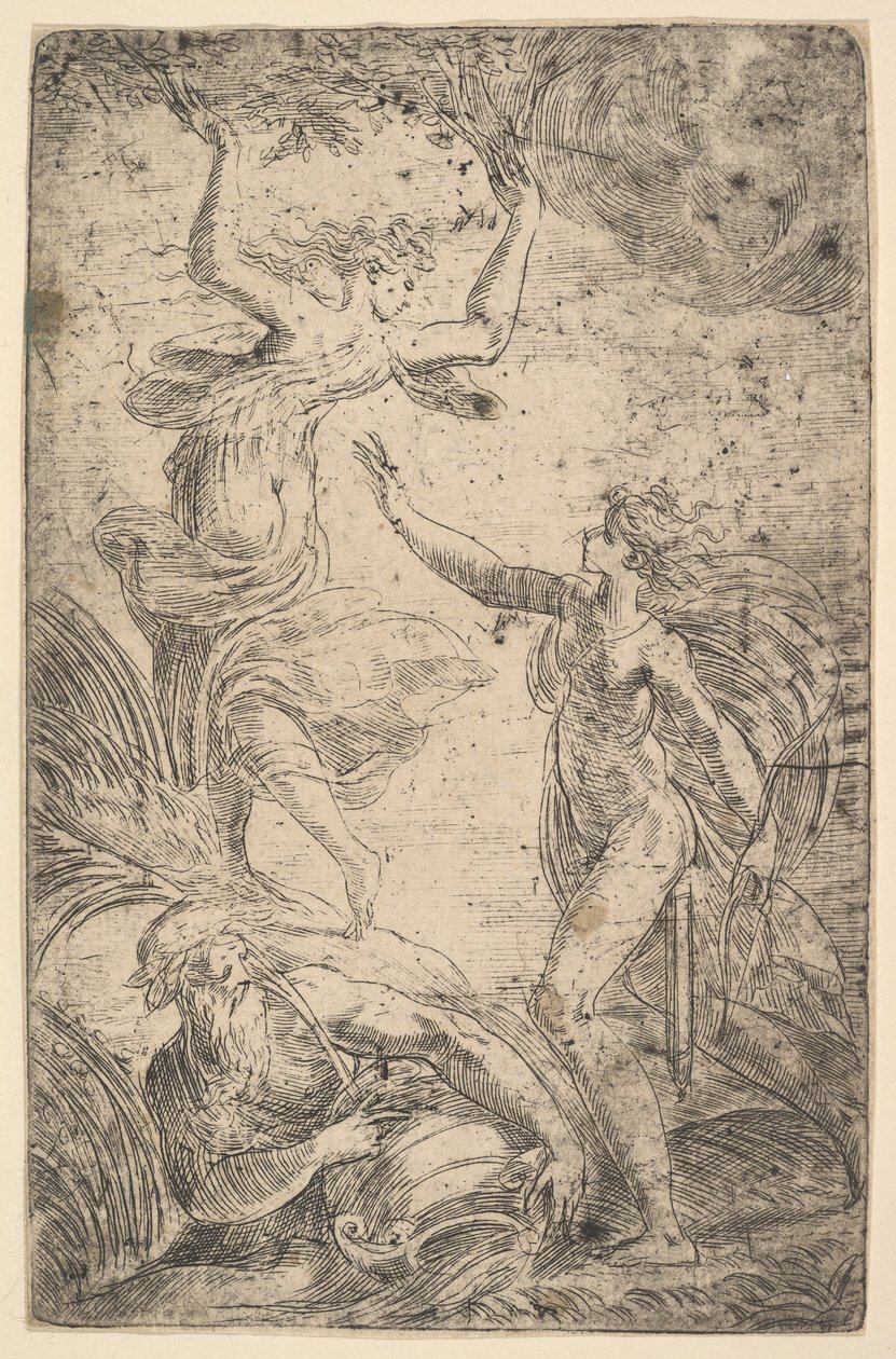 Apolló jobb oldalon íjjal, balról Daphnét üldözi, kb. 1538-40. alkotó: Andrea Schiavone