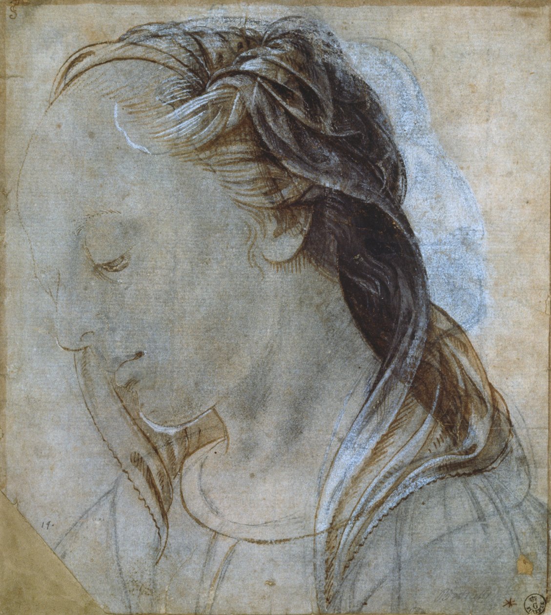 Női fej (rajz) alkotó: Andrea Verrocchio