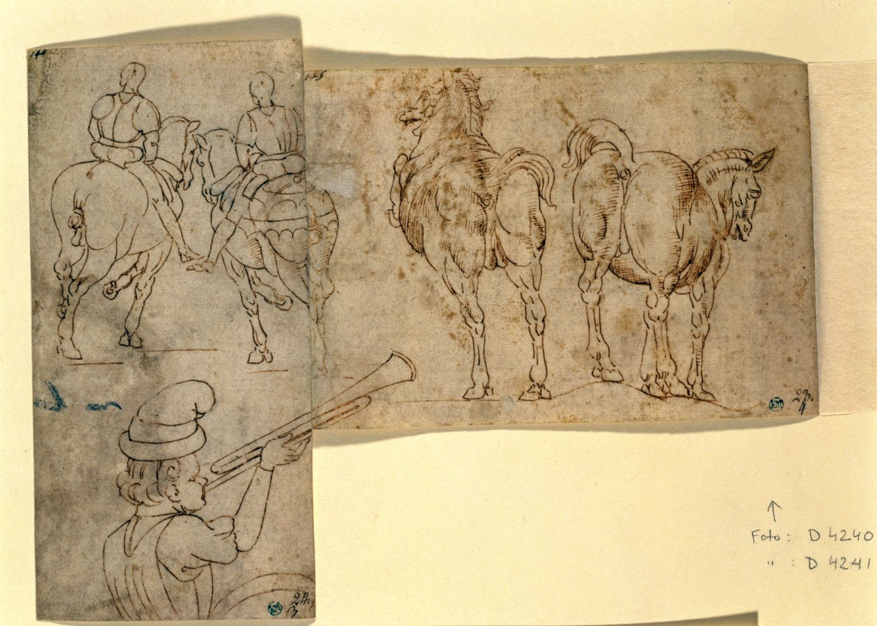 Inv no.38 recto Sketch of Horses, c. 1460-70 (toll és tinta) alkotó: Andrea Verrocchio