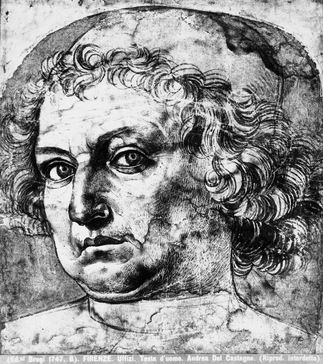 Mans fej, vagy Andrea del Verrocchio portréja, 1450 körül alkotó: Andrea del Castagno