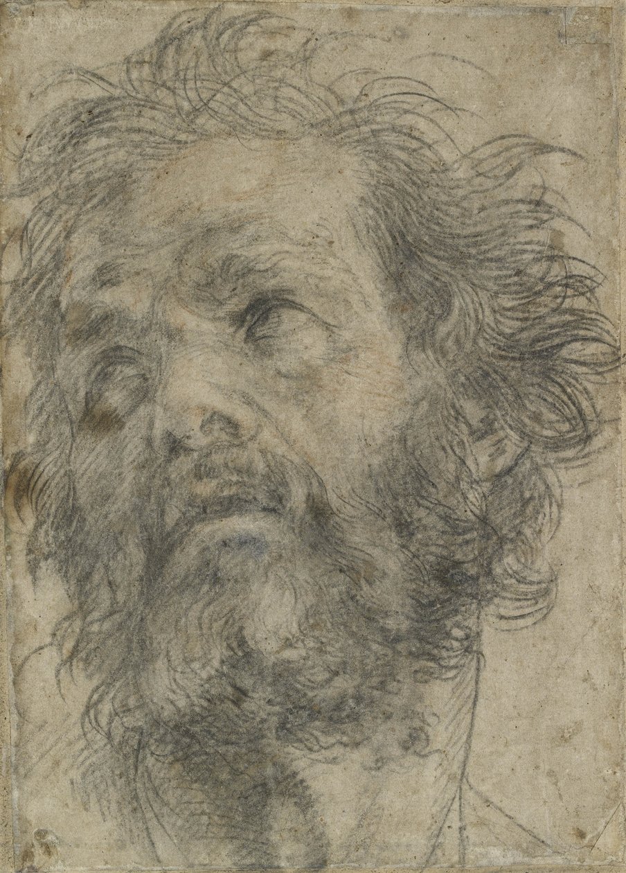 Egy ember feje (fekete kréta papíron) alkotó: Andrea del Sarto