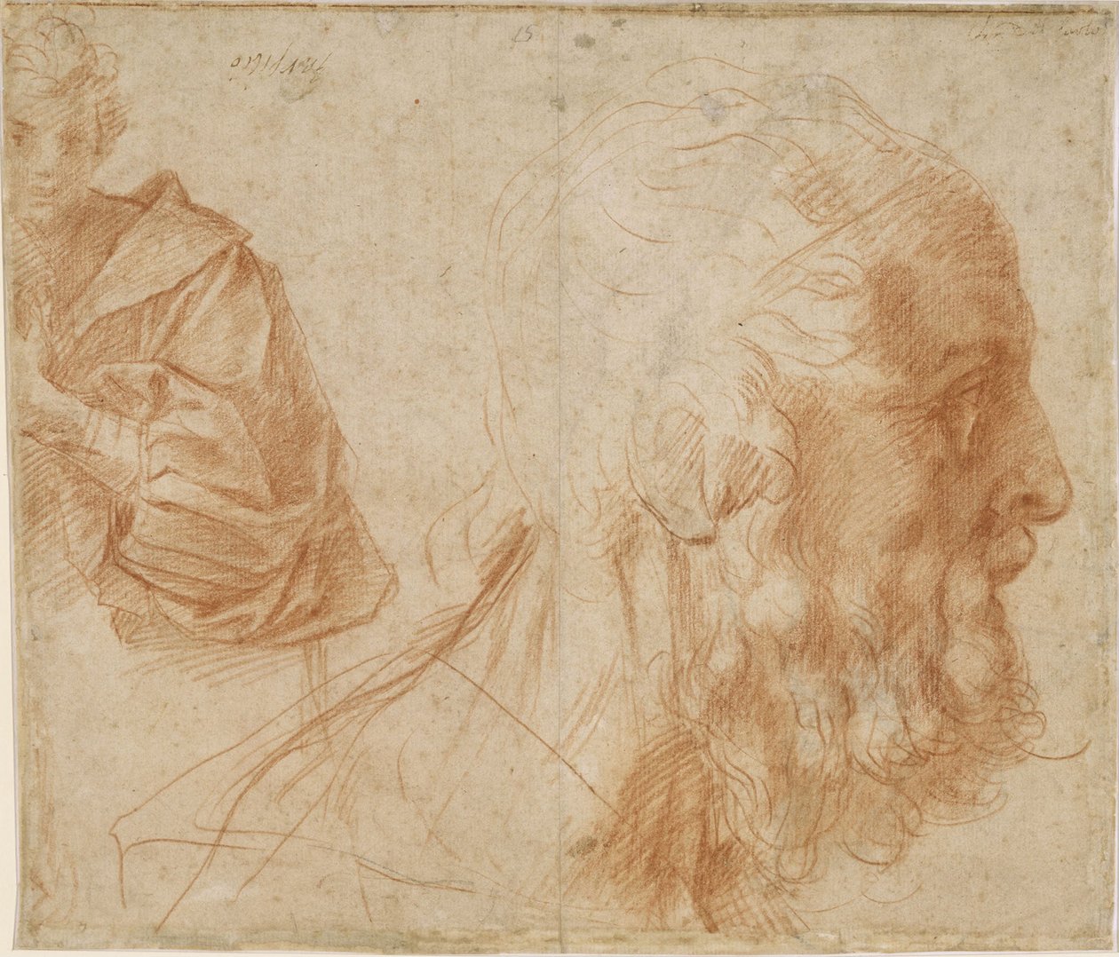 Egy fiatal és egy öreg Homérosz feje. Tanulmány, 1521 körül alkotó: Andrea del Sarto