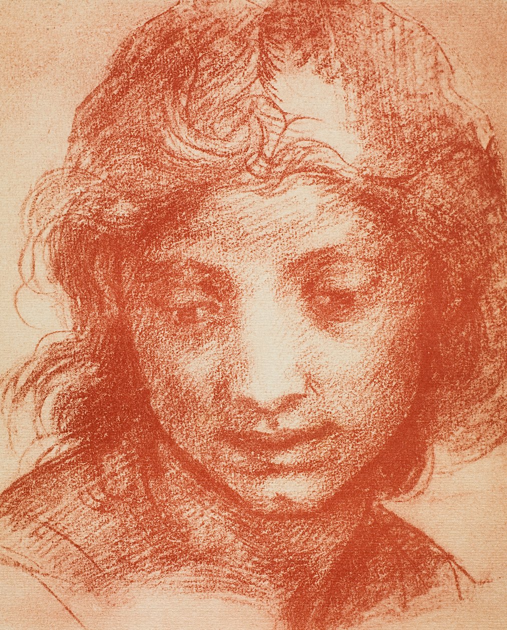 Boys Head alkotó: Andrea del Sarto