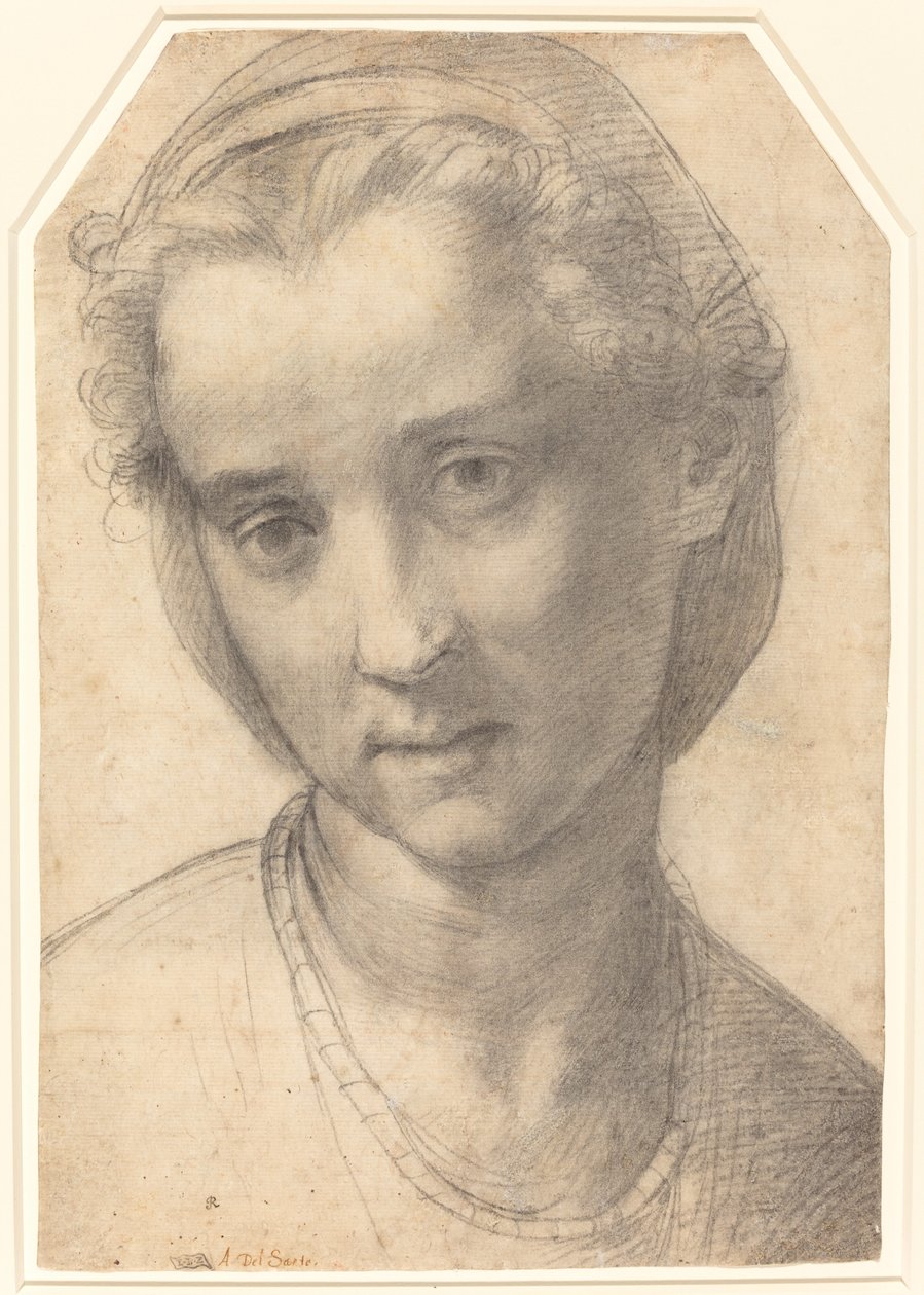Egy nő feje alkotó: Andrea del Sarto