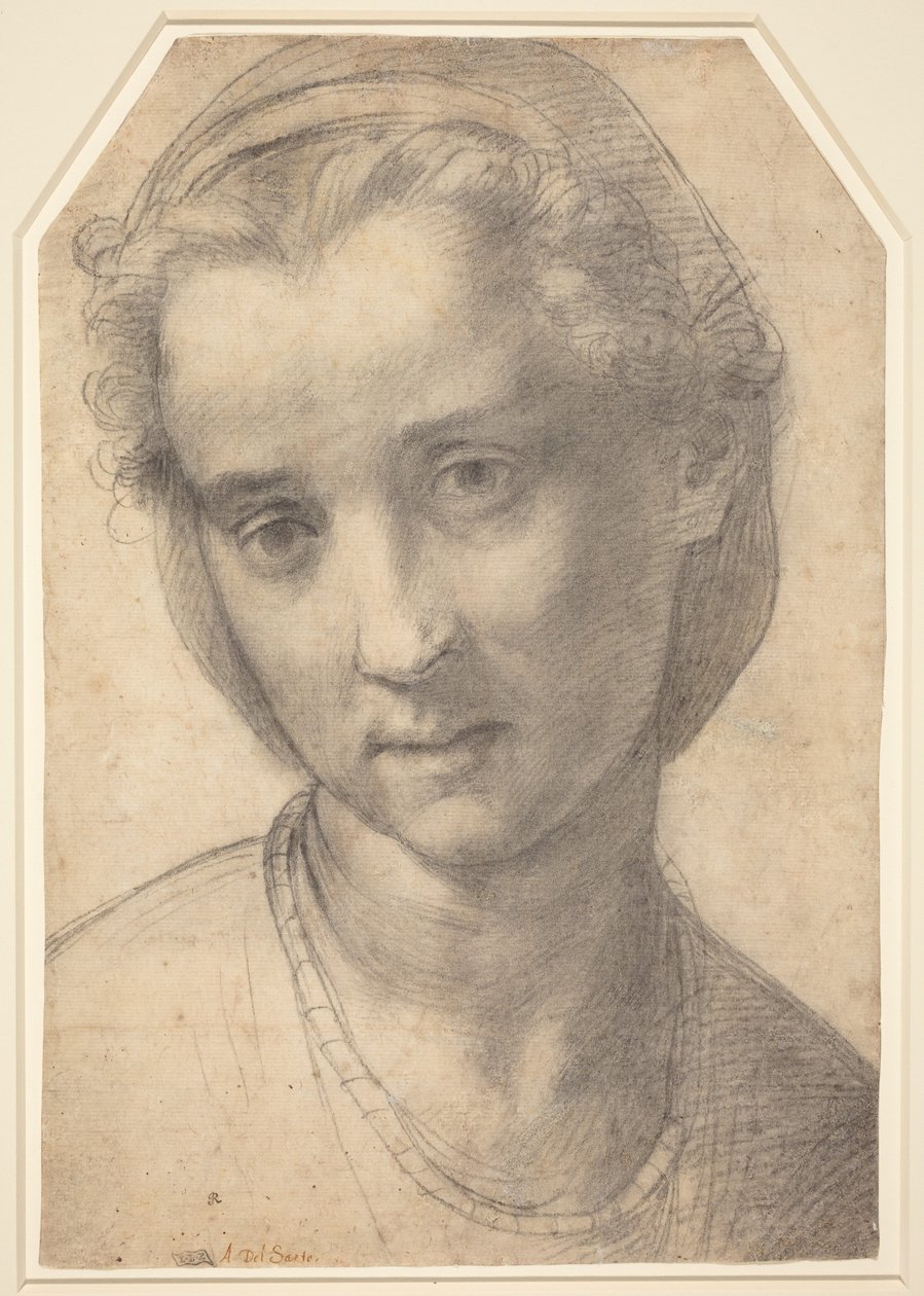 Női fej alkotó: Andrea del Sarto