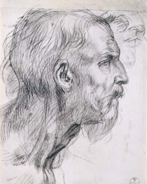 Egy apostol feje, az „Utolsó vacsora” freskójához a firenzei San Salvi kolostorban, 1520-25 körül (szén) alkotó: Andrea del Sarto