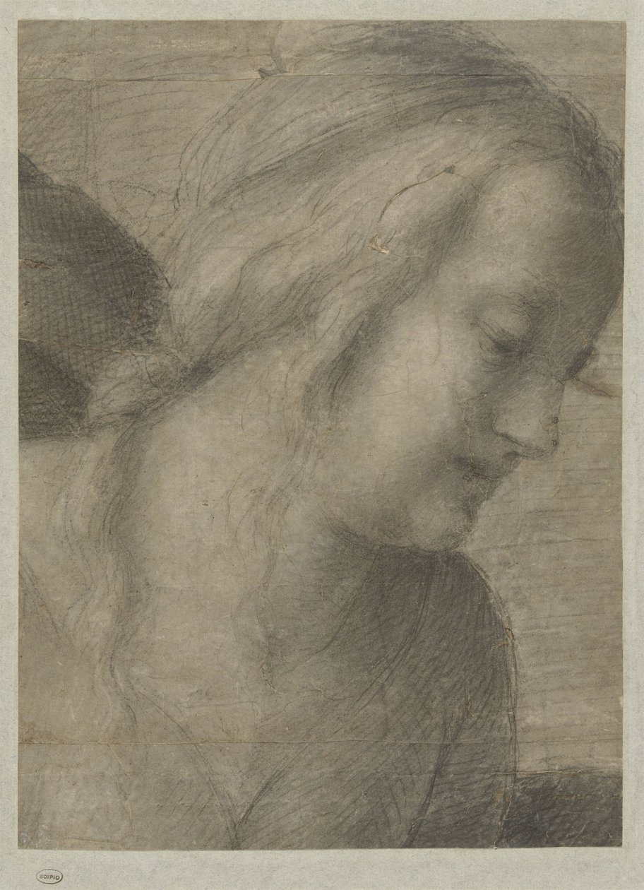 Mária feje, imádatban alkotó: Andrea del Sarto