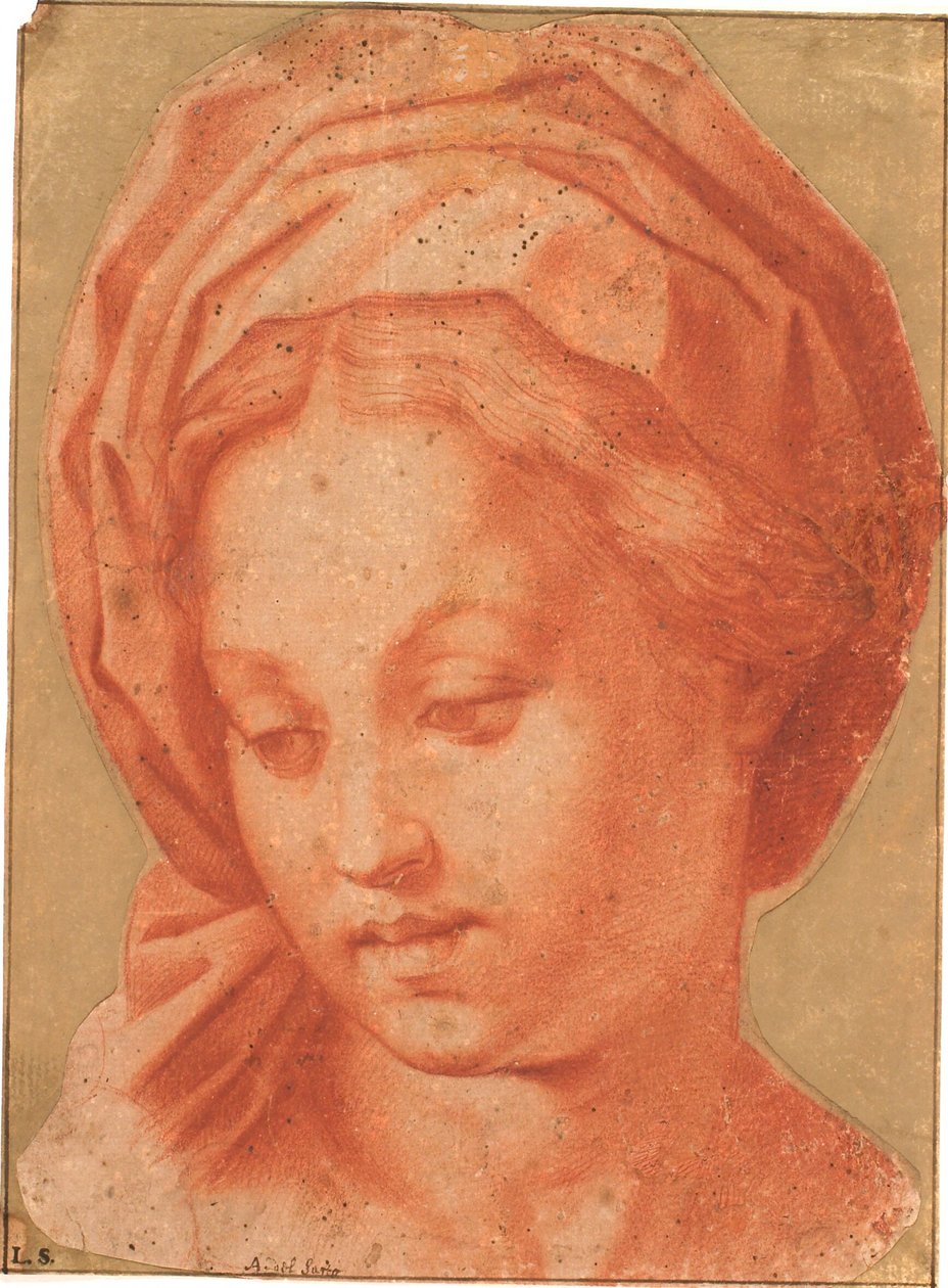 Borghese Madonna alkotó: Andrea del Sarto